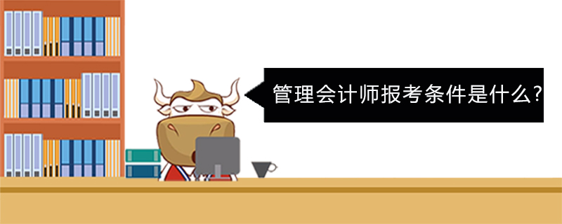 管理会计师报考条件是什么