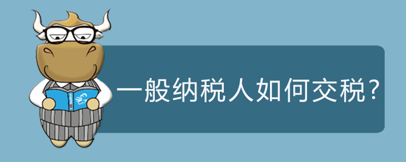 一般纳税人如何交税