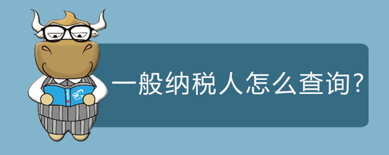 一般纳税人怎么查询