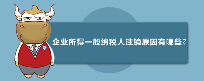 一般纳税人注销原因有哪些