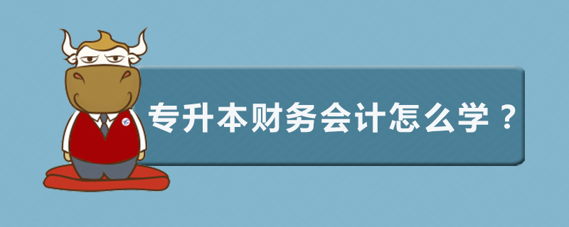 专升本财务会计怎么学