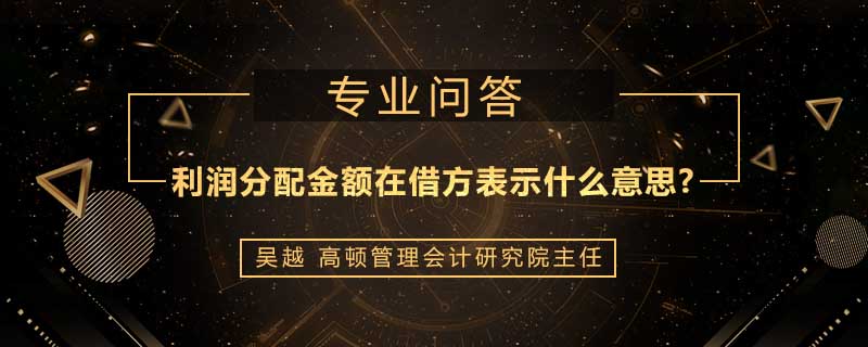 利润分配金额在借方表示什么意思